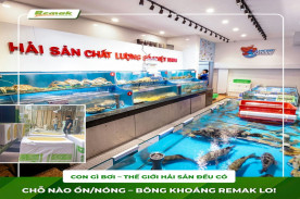 Remak Cung Cấp Bông Khoáng Cho Nhà Hàng Thế Giới Hải Sản Mỹ Đình – Giải Pháp Cách Âm, Cách Nhiệt, Chống Cháy Cho Ngành F&B