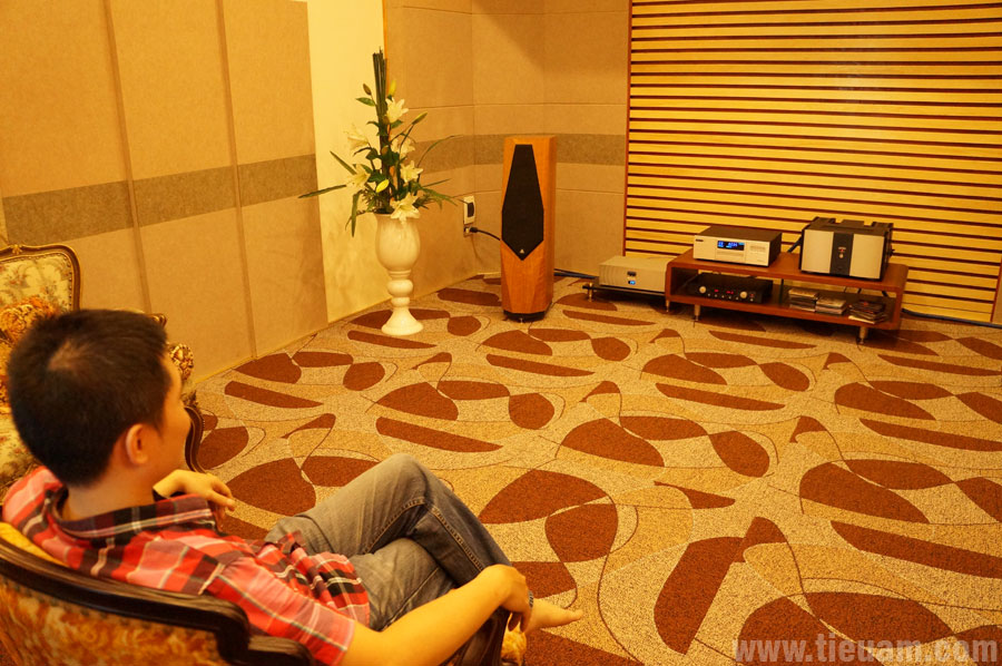 Phòng nghe nhạc Hi-end - Ảnh 3